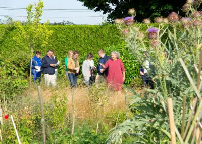 Petit déjeuner champêtre dans le jardin des Vases Communicants