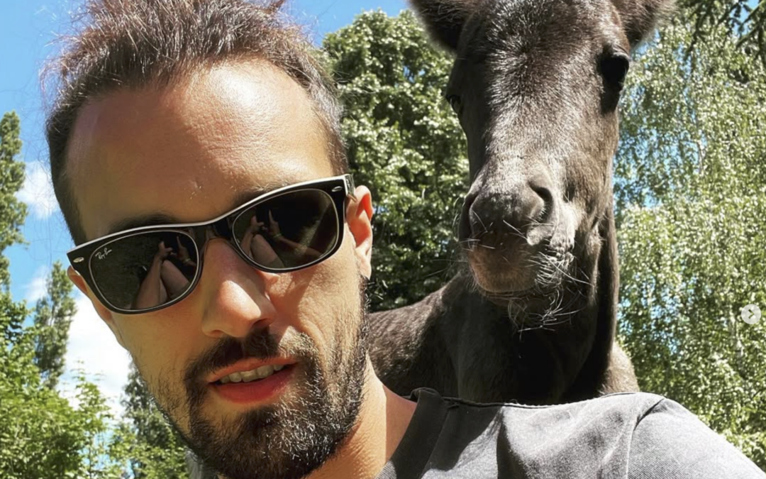 Nicolas Ribout, hôte de charme